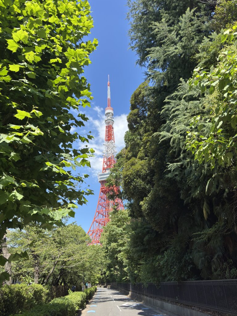 Photo from Guillaume the French Intern from April to July