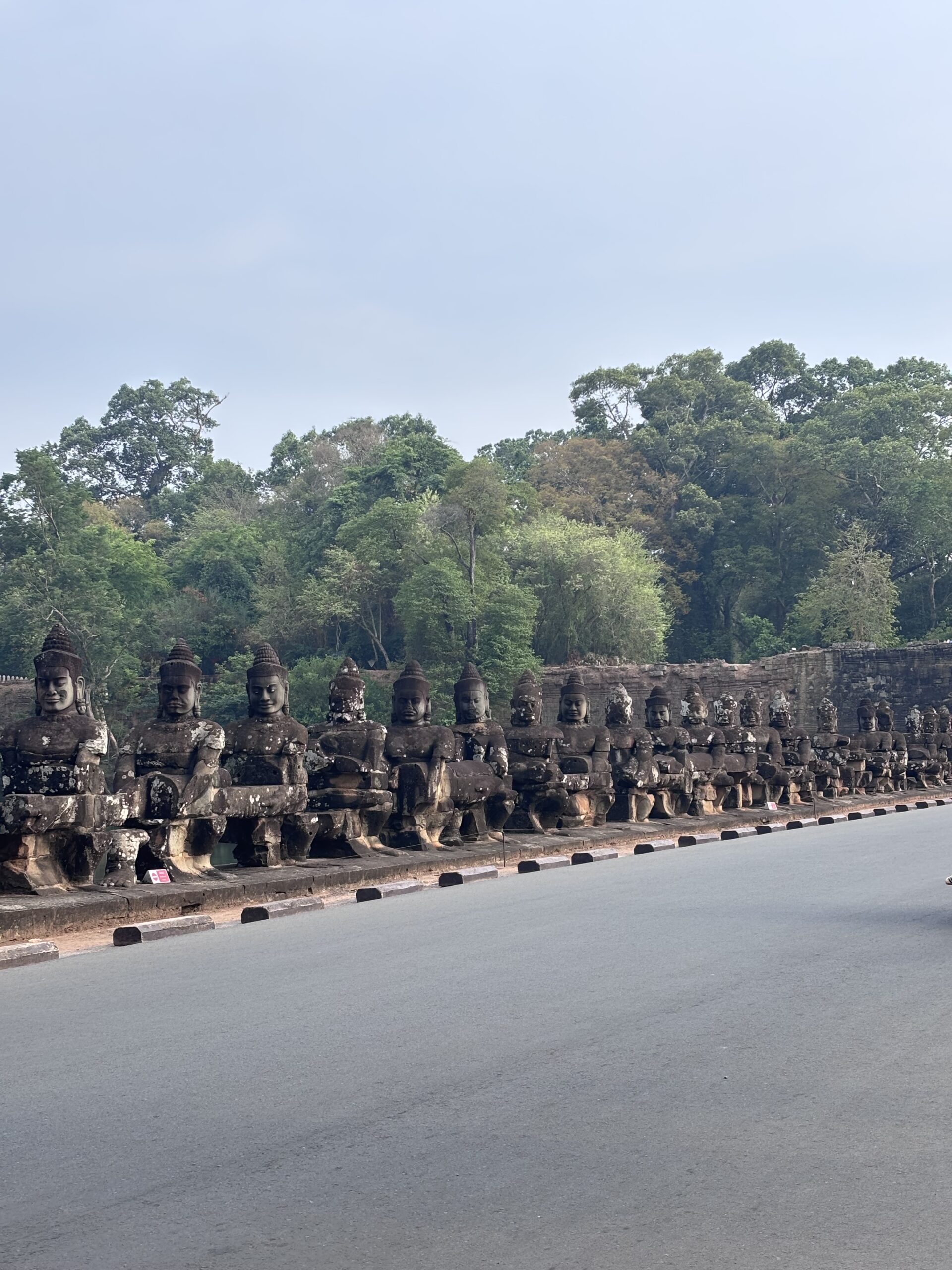IMG_6303