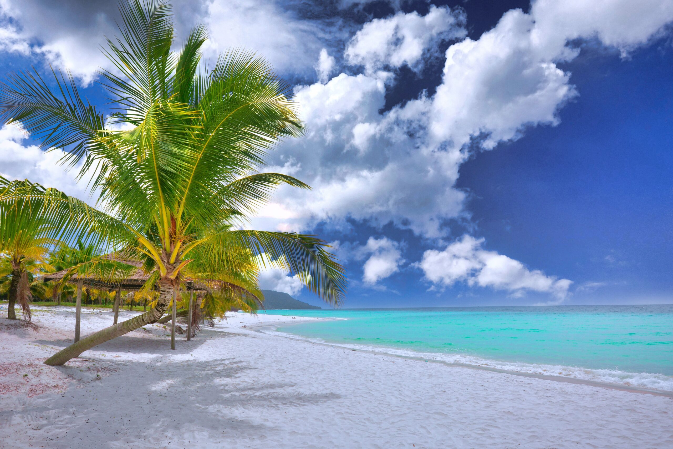 pexels-allphoto-bangkok-1628521-12001672