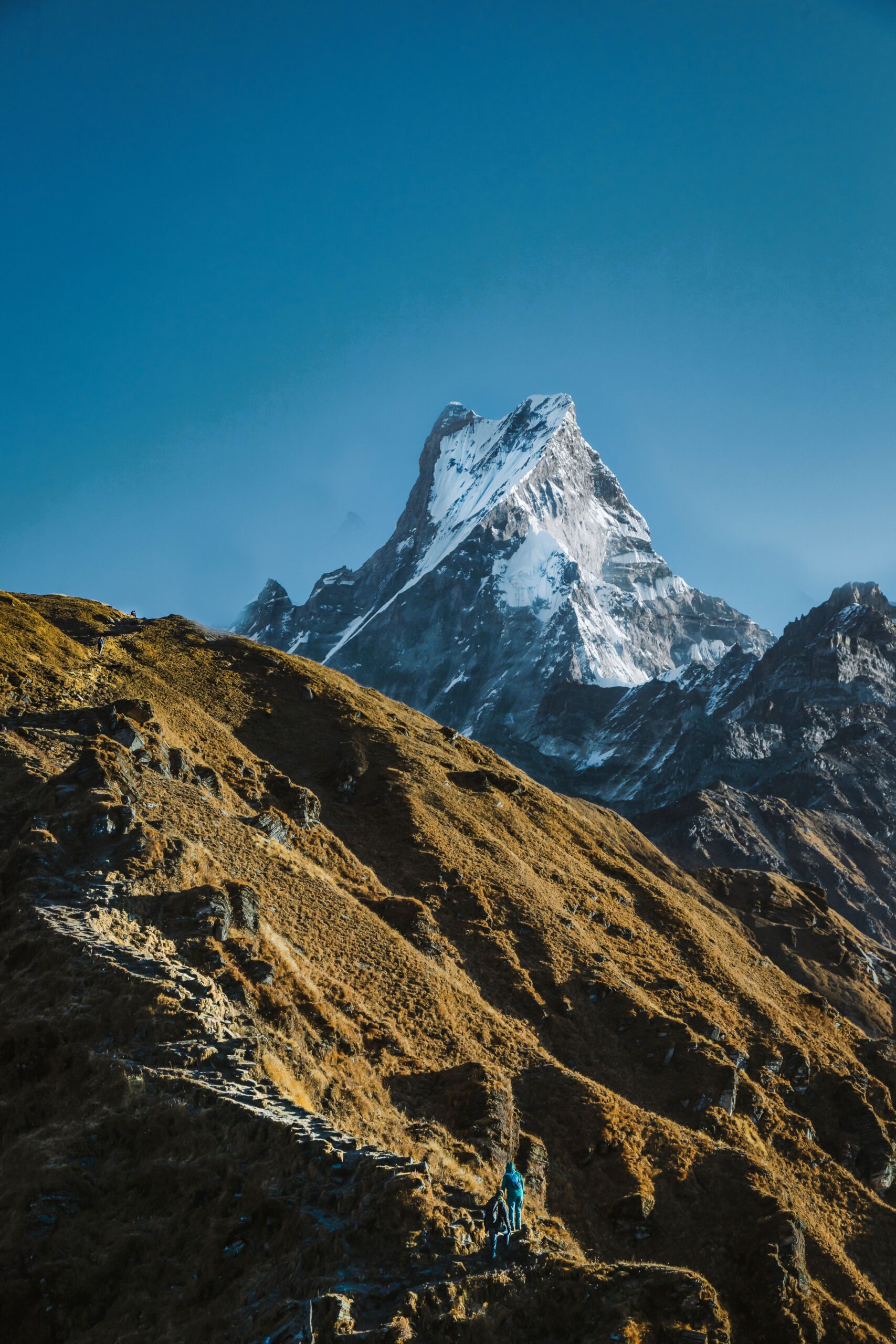 pexels-ashokjkshetri-4488163